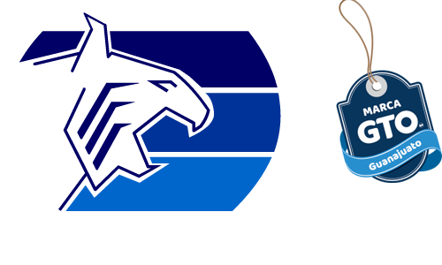 Renta de Autos En León Guanajuato